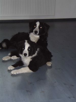 BenBravery02 083.jpg